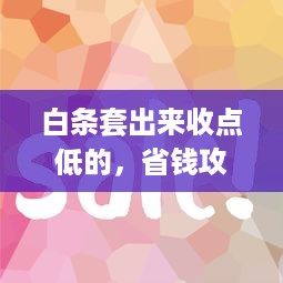 白条套出来收点低的，省钱攻略与实用操作指南