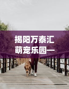 揭阳万泰汇萌宠乐园—宠物爱好者的乐园