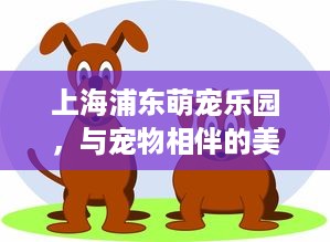 上海浦东萌宠乐园，与宠物相伴的美好时光