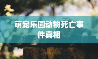 萌宠乐园动物死亡事件真相
