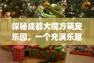 探秘成都大魔方萌宠乐园，一个充满乐趣与惊喜的奇幻之旅