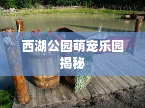 西湖公园萌宠乐园揭秘