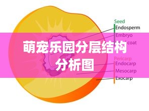 萌宠乐园分层结构分析图