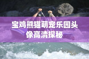 宝鸡熊猫萌宠乐园头像高清探秘