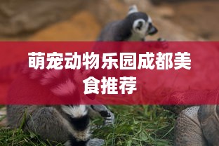 萌宠动物乐园成都美食推荐