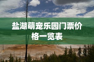 盐湖萌宠乐园门票价格一览表