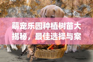 萌宠乐园种植树苗大揭秘，最佳选择与案例分析