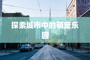 探索城市中的萌宠乐园