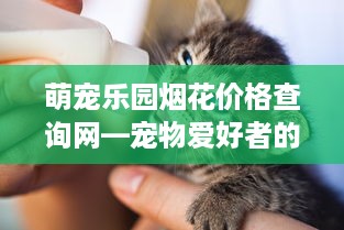 萌宠乐园烟花价格查询网—宠物爱好者的贴心助手
