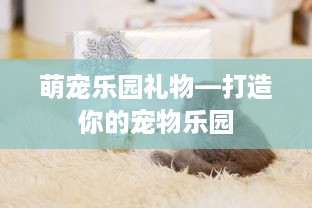 萌宠乐园礼物—打造你的宠物乐园