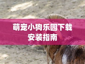 萌宠小狗乐园下载安装指南