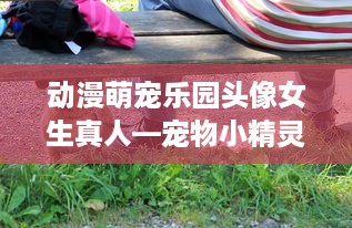 动漫萌宠乐园头像女生真人—宠物小精灵的温馨世界