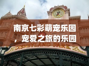 南京七彩萌宠乐园，宠爱之旅的乐园体验