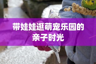 带娃娃逛萌宠乐园的亲子时光