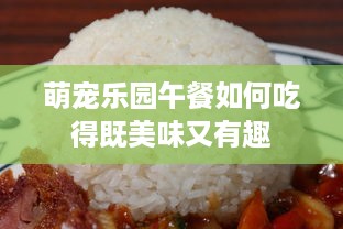 萌宠乐园午餐如何吃得既美味又有趣