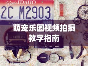 萌宠乐园视频拍摄教学指南