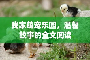 我家萌宠乐园，温馨故事的全文阅读