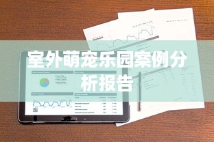 室外萌宠乐园案例分析报告