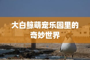 大白鲸萌宠乐园里的奇妙世界