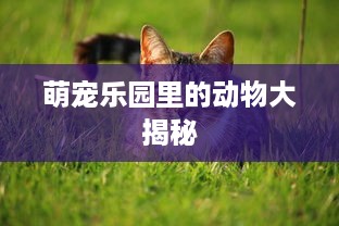 萌宠乐园里的动物大揭秘