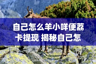 自己怎么羊小咩便荔卡提现 揭秘自己怎么羊小咩便荔卡提现全攻略，轻松操作，安全快捷！