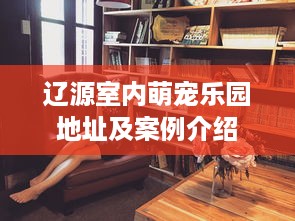 辽源室内萌宠乐园地址及案例介绍