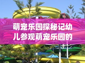 萌宠乐园探秘记幼儿参观萌宠乐园的快乐时光