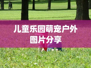 儿童乐园萌宠户外图片分享