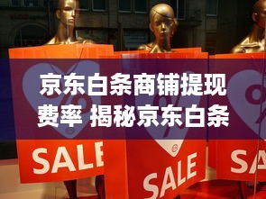 京东白条商铺提现费率 揭秘京东白条商铺提现费率，如何轻松掌握提现成本？