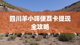 四川羊小咩便荔卡提现全攻略