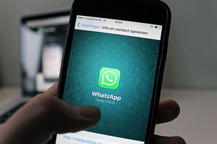 微信分付额度怎么套出来？微信分付1w额度高吗安全吗？