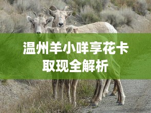 温州羊小咩享花卡取现全解析