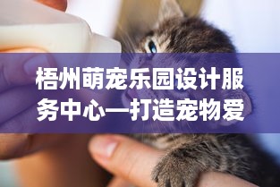 梧州萌宠乐园设计服务中心—打造宠物爱好者的天堂