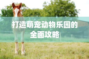 打造萌宠动物乐园的全面攻略