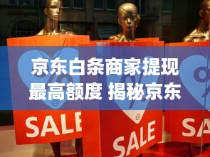 京东白条商家提现最高额度 揭秘京东白条商家提现，最高额度竟然是…