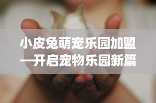 小皮兔萌宠乐园加盟—开启宠物乐园新篇章