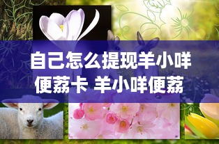 自己怎么提现羊小咩便荔卡 羊小咩便荔卡提现攻略，轻松操作，快速到账！