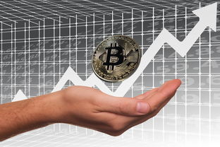 白条永辉电子卡套出来，实用指南与案例分享