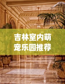 吉林室内萌宠乐园推荐