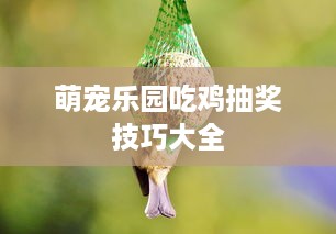 萌宠乐园吃鸡抽奖技巧大全