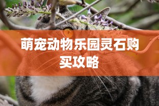 萌宠动物乐园灵石购买攻略