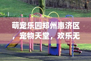萌宠乐园郑州惠济区，宠物天堂，欢乐无限