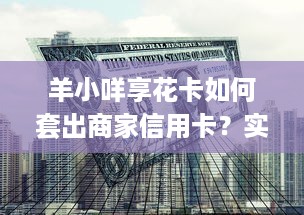 大熊萌宠龙猫乐园官网—探索梦幻龙猫王国的奇妙之旅