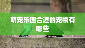 萌宠乐园合适的宠物有哪些