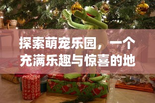 探索萌宠乐园，一个充满乐趣与惊喜的地方