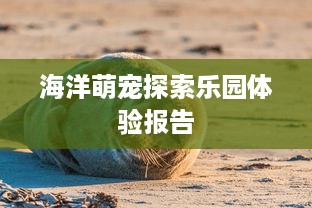 海洋萌宠探索乐园体验报告