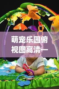 萌宠乐园俯视图高清—探索欢乐天地