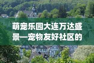 萌宠乐园大连万达盛景—宠物友好社区的探索与实践