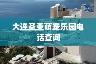 大连圣亚萌宠乐园电话查询