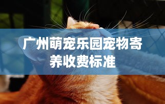 广州萌宠乐园宠物寄养收费标准